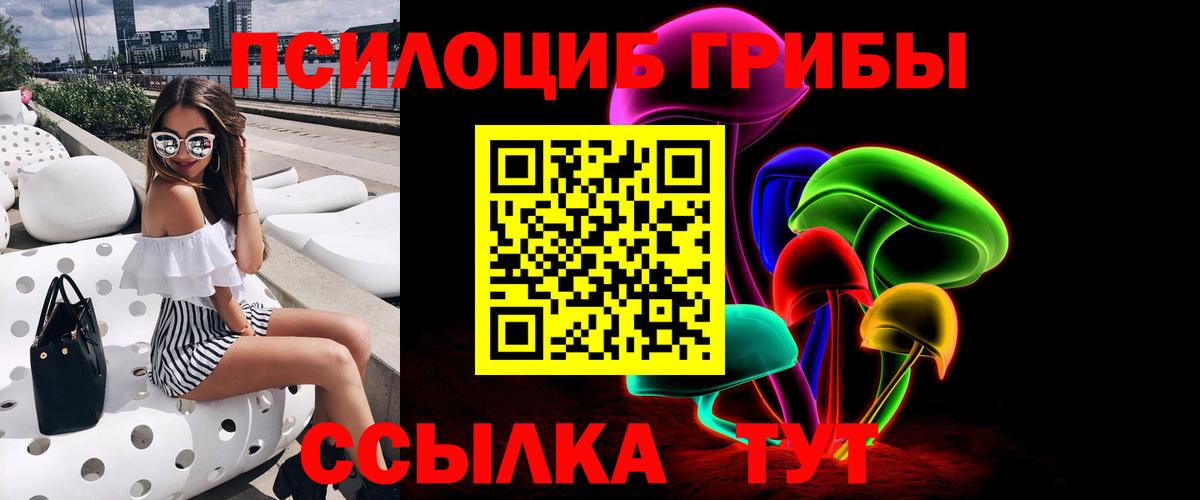 Пугачёв  Галлюциногенные грибы Psilocybe  где купить наркоту  Вход с VPN 