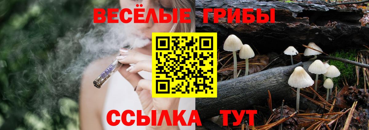 Галлюциногенные грибы Cubensis Пугачёв